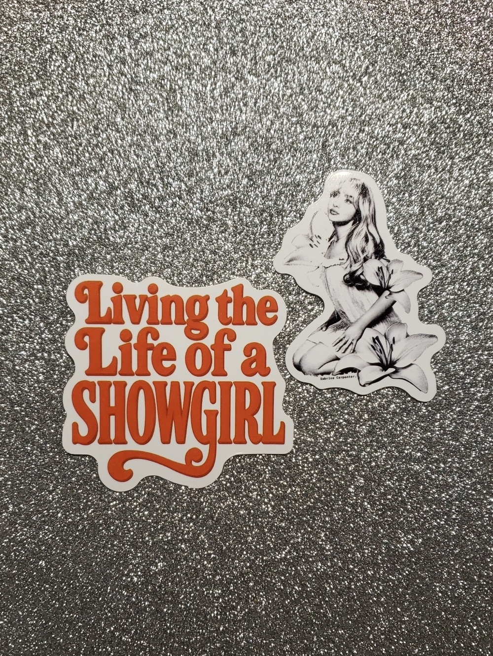 10/$10 Taylor Swift SHOWGIRL Waterproof Sticker